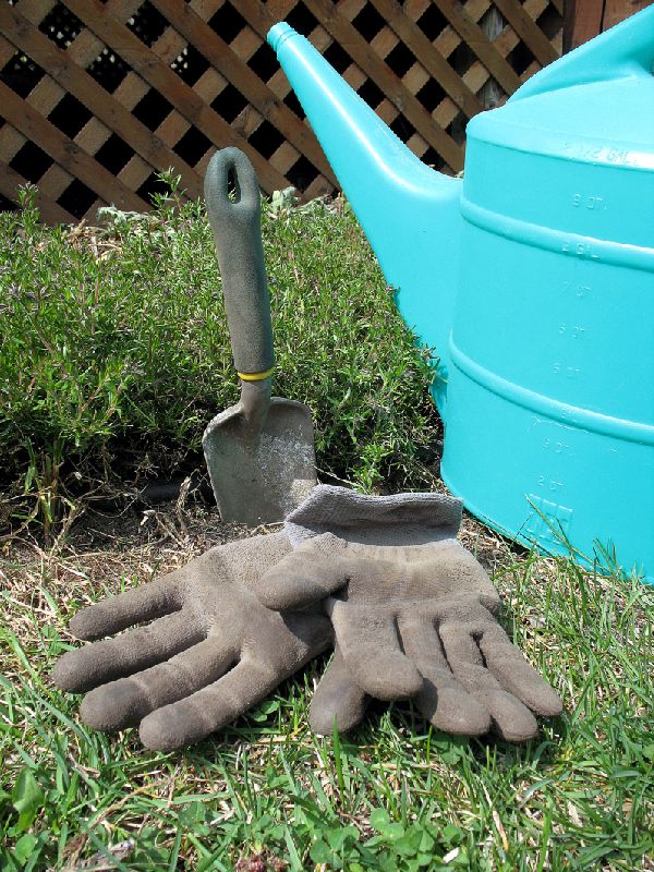 Gardening Gloves And Trowel
