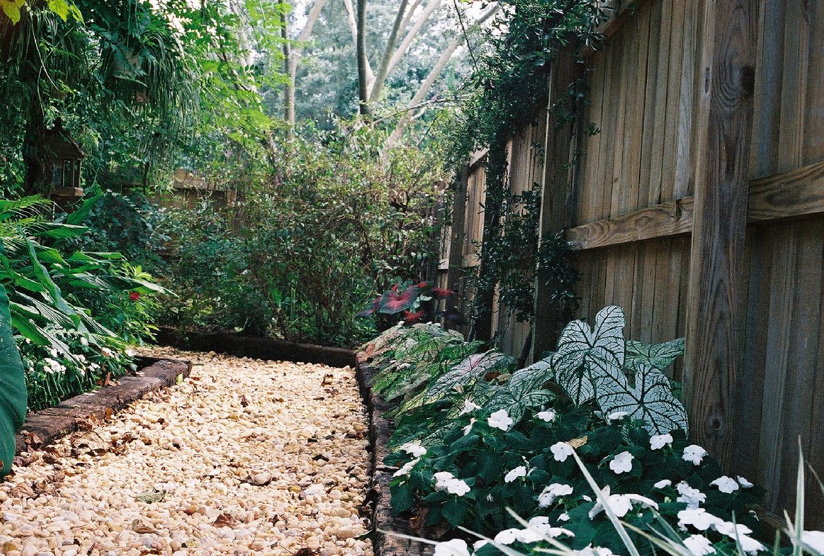 Garden With Garden Path
